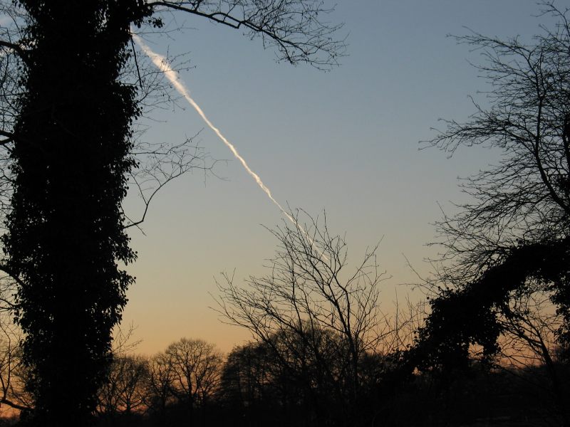 104_0445.html