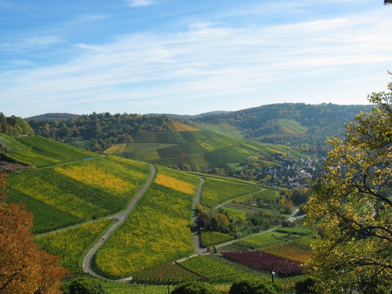 herfst2004 012.html