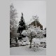 CRW_9713.jpg