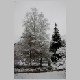 CRW_9714.jpg