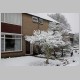CRW_9715.jpg
