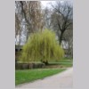 park_2.jpg