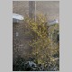CRW_8121.jpg