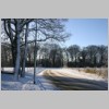 IMG_8733.JPG