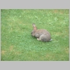 03_Bugs_Bunny.jpg