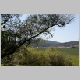 CRW_1720.jpg