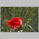 CRW_1768.jpg
