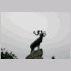 Beaumont_hamel3.jpg