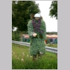 cactus_poilu.jpg