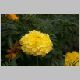 CRW_1817.jpg