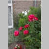 CRW_2881.jpg